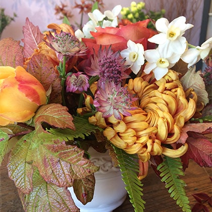 Fall viburnum foliage, astrantia, mums, narcissus and garden roses in a ceramic container.