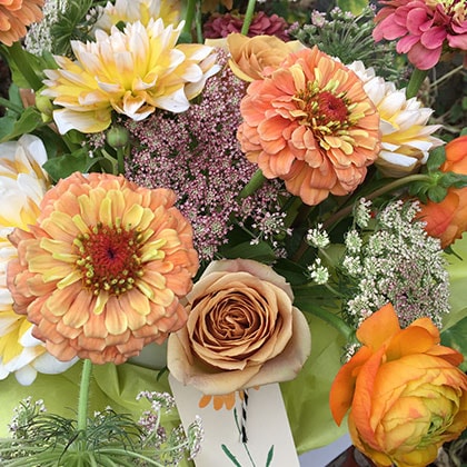 A beautiful flower arrangement ready for delivery combines a colorful mix of dahlias, zinnias, roses and Ranunculus.