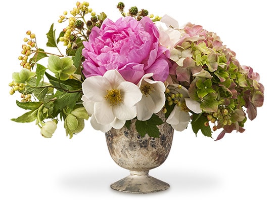 Small footed silver compote with peonies, hydrangea, hellebore, viburnum berries and single petal roses is the perfect centerpiece for any ocassion.