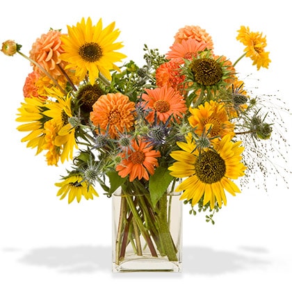 Sunflowers, dahlias and gerberas daisies are combined in this lovely Summer flower arrangement in a glass vase.