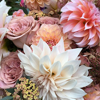 Dahlias mixed with yarrow and roses happily arranged.
