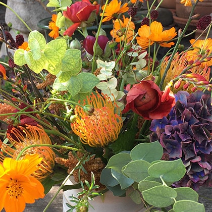 Broccoli hydrangea and chocolate Queen Anne’s Lace on display in this flower arrangement.