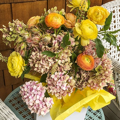 Berkeley flower delivery featuring shades of pale pink and green hydrangea mixed with ranunculus, Blushing Bride protea and pokeberry.