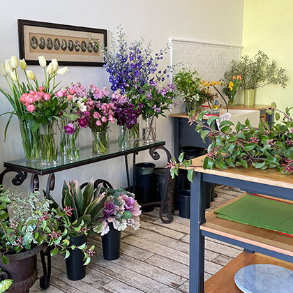 Freshly Cut florist at 378 Colusa Avenue, Kensington