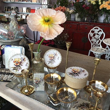 Icelandic poppies grace the shelf display of antique collectables inside of Freshly Cut.
