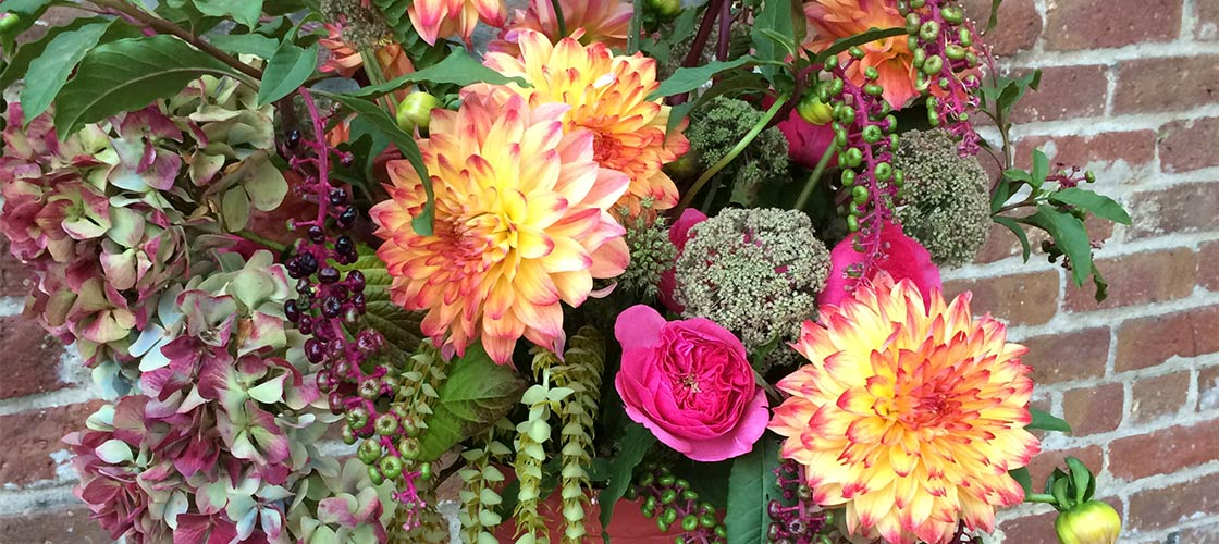 A beautiful Fall flower arrangement with bright two tone dahlias mixed with hydrangea, poke berries and a bit of Queen Anne&rsquo;s Lace.