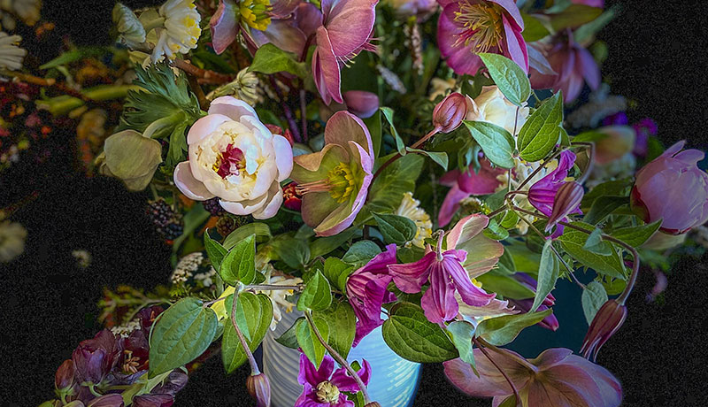 Peonies, Clematis, Hellebore, Fritillaria persica and Edgeworthia chrysantha in a Bauer Ring Vase ready for flower delivery to Berkeley CA.